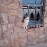 Mit Beheiztem Pool In Gracia * Stara Baska