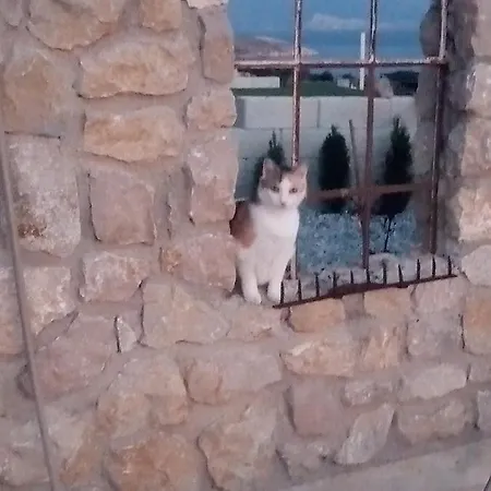 Mit Beheiztem Pool In Gracia * Стара Башка